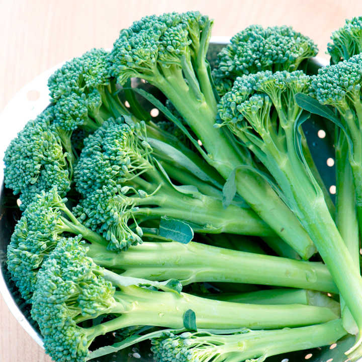 Different Types of Broccoli: Apollo Broccoli