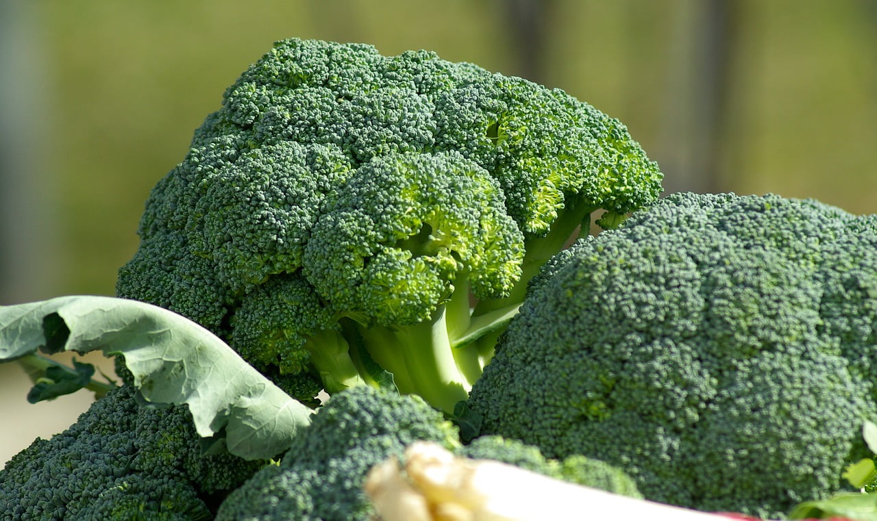 Different Types of Broccoli: Calabrese Broccoli