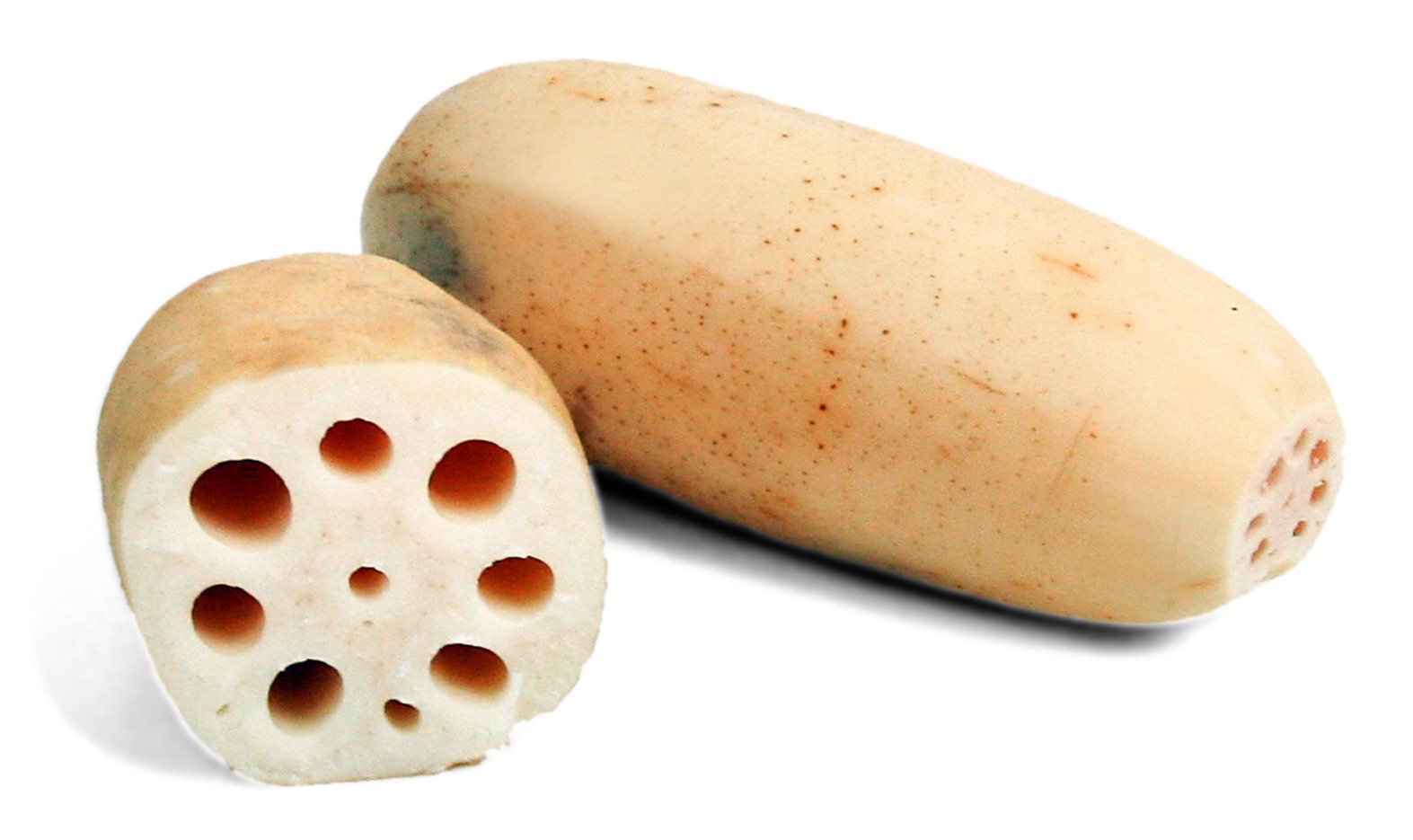 Types Of Root Vegetables With Pictures: Lotus Root
