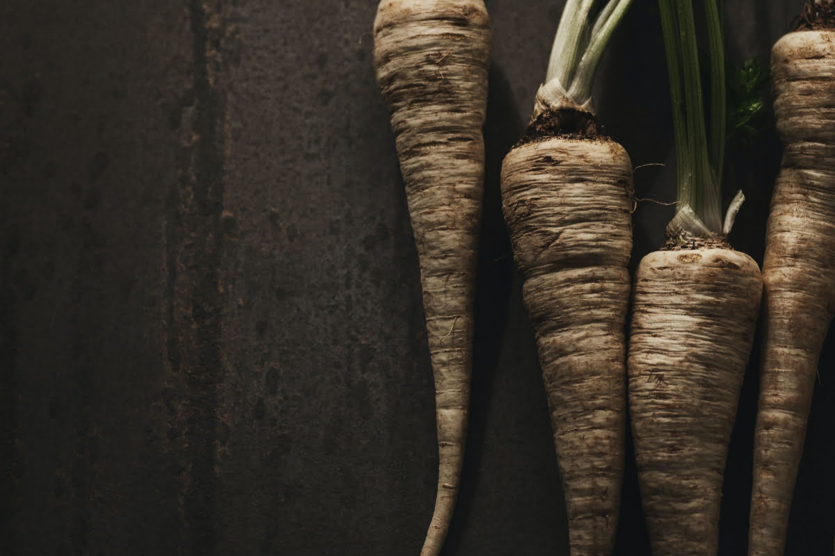 Types Of Root Vegetables With Pictures: parsnips