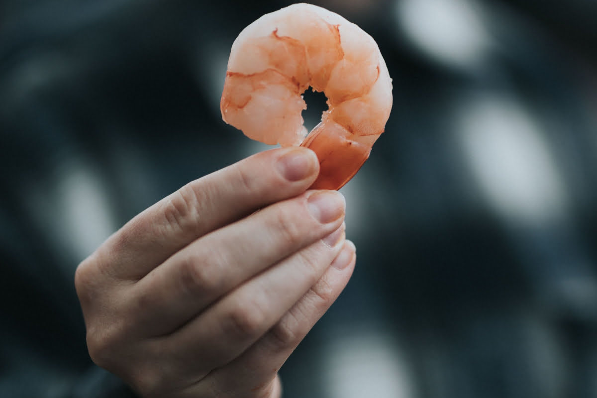 Types Of Shrimp