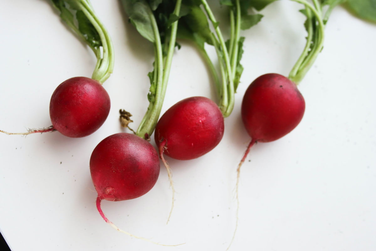 Types Of Root Vegetables With Pictures: Radishes