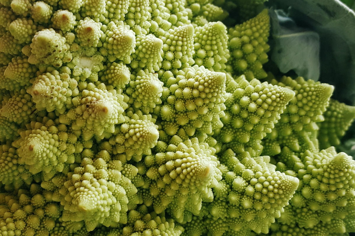 Different Types of Broccoli: Romanesco Broccoli