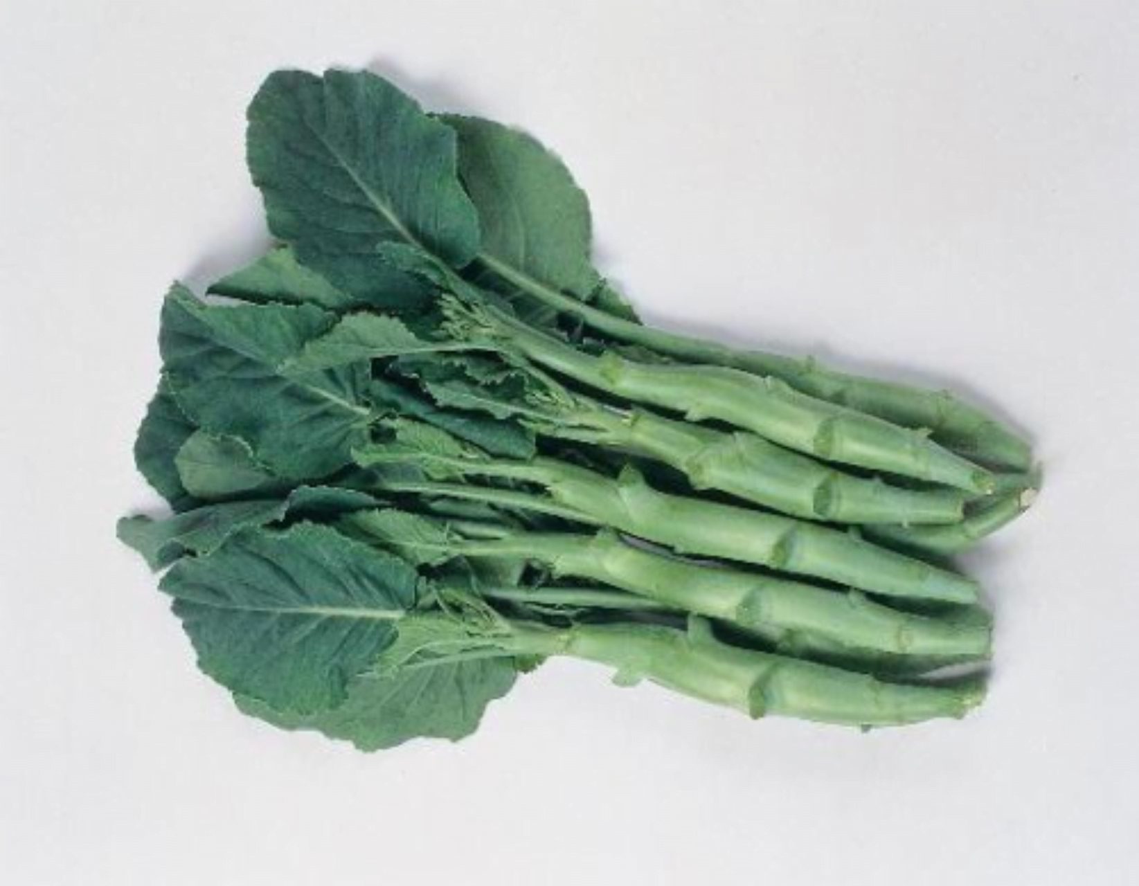 Different Types of Broccoli: Suiho Broccoli