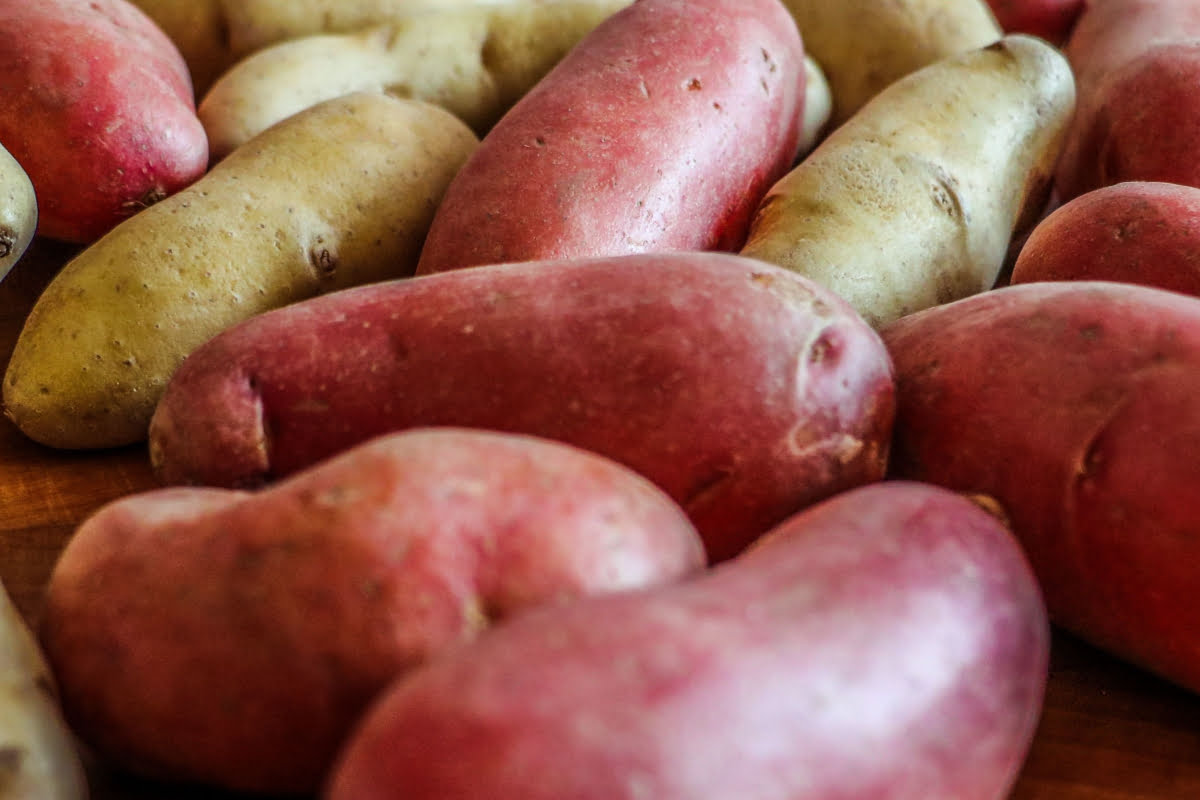 Types Of Root Vegetables With Pictures: sweet potatoes