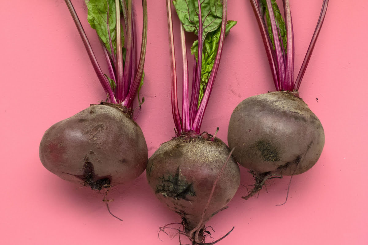 Types Of Root Vegetables With Pictures: Turnips