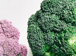 Different Types of Broccoli