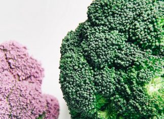 Different Types of Broccoli