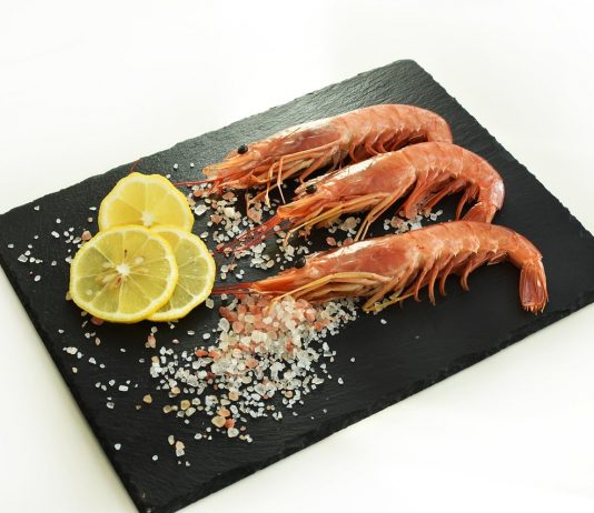 types of shrimp