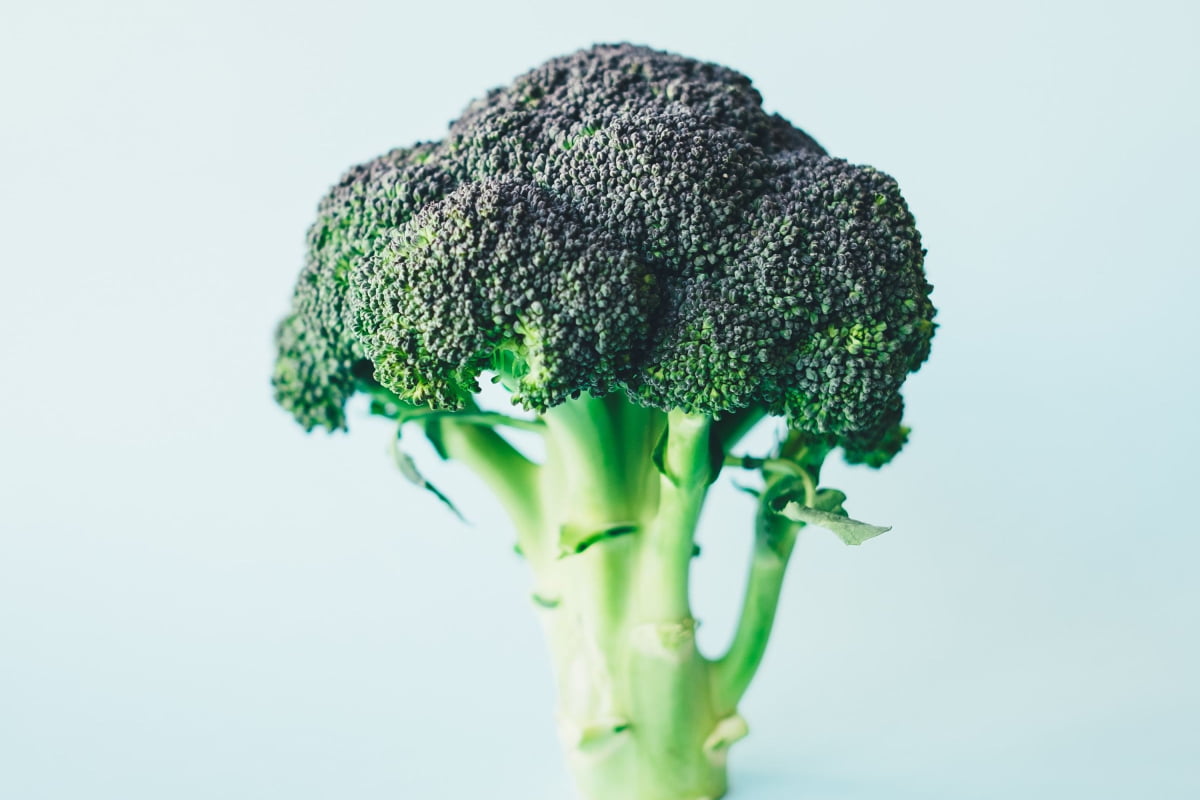 Different Types of Broccoli: Waltham 29 Broccoli