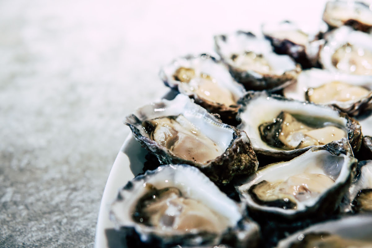 types of shellfish: Oyster